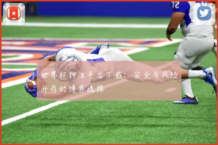 世界杯押注平台下载：安全与风险并存的博弈选择