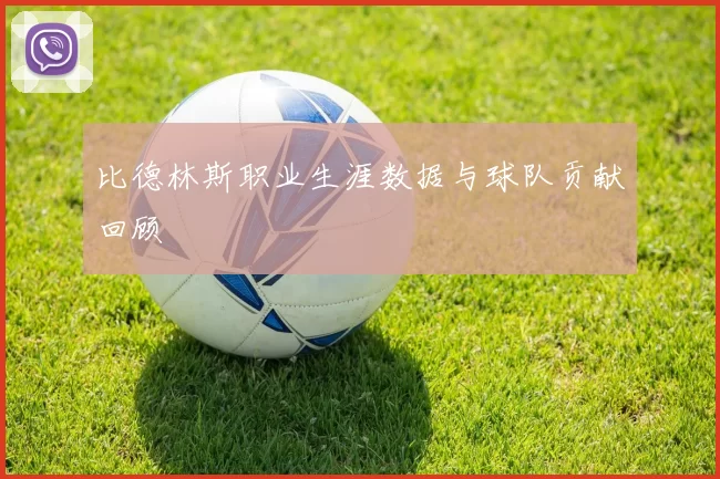比德林斯职业生涯数据与球队贡献回顾