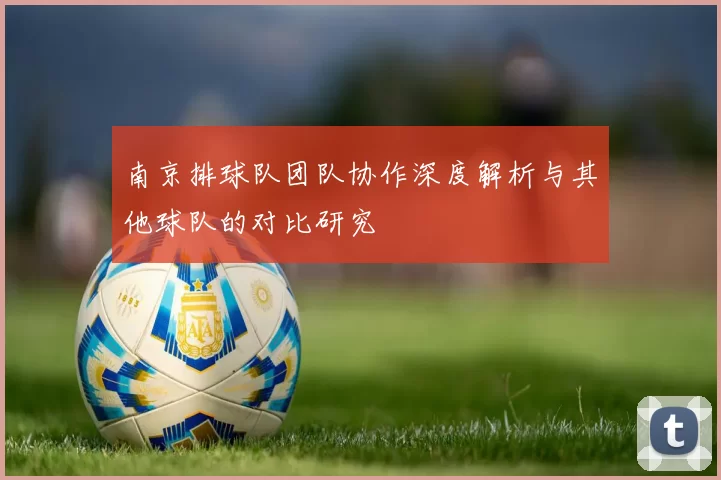 南京排球队团队协作深度解析与其他球队的对比研究