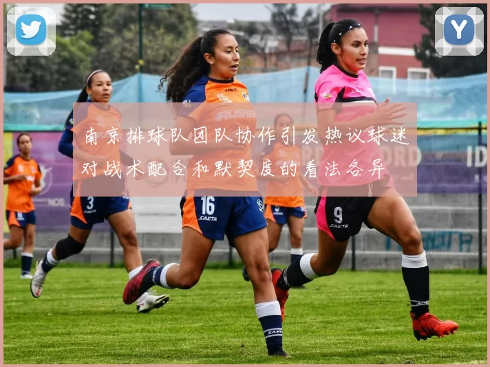 南京排球队团队协作引发热议球迷对战术配合和默契度的看法各异
