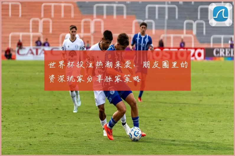 世界杯投注热潮来袭，朋友圈里的资深玩家分享独家策略