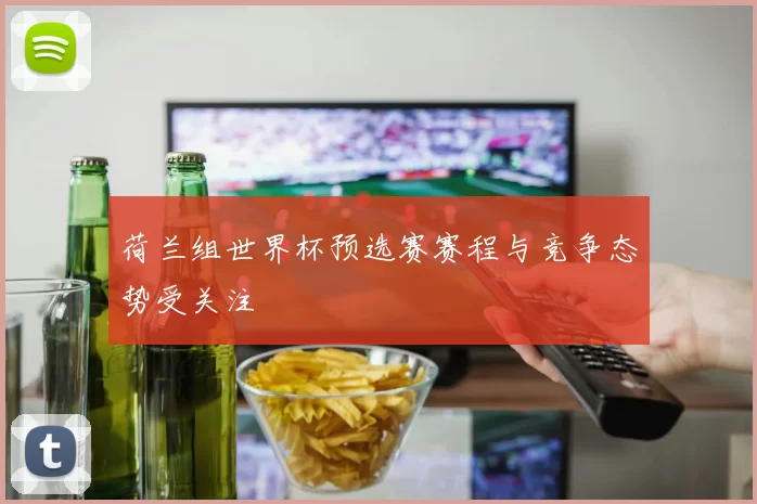 荷兰组世界杯预选赛赛程与竞争态势受关注