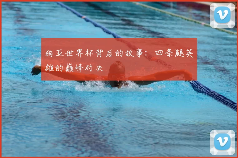 狗亚世界杯背后的故事:四条腿英雄的巅峰对决