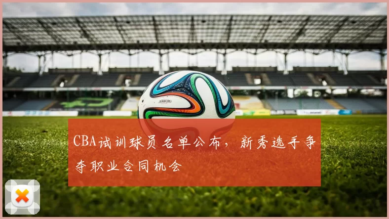 CBA试训球员名单公布，新秀选手争夺职业合同机会