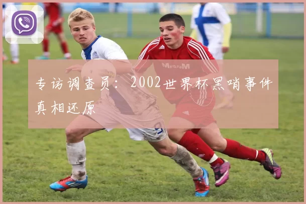 专访调查员:2002世界杯黑哨事件真相还原