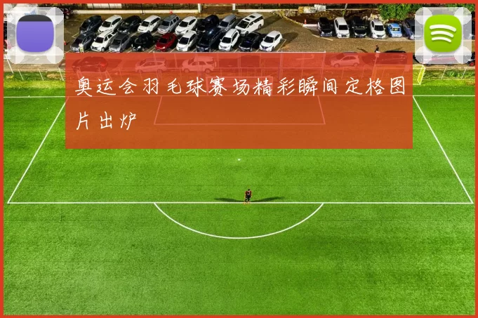 奥运会羽毛球赛场精彩瞬间定格图片出炉