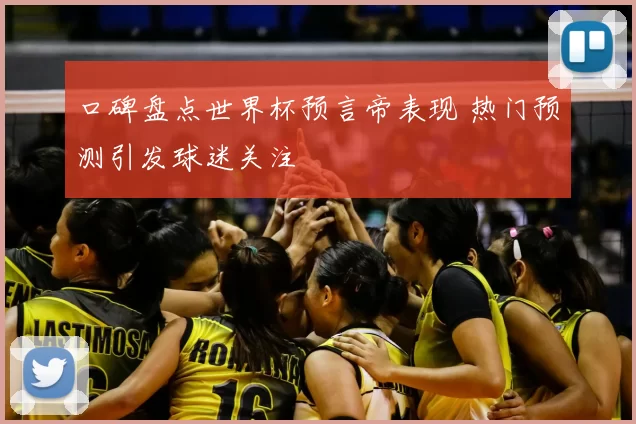 口碑盘点世界杯预言帝表现 热门预测引发球迷关注