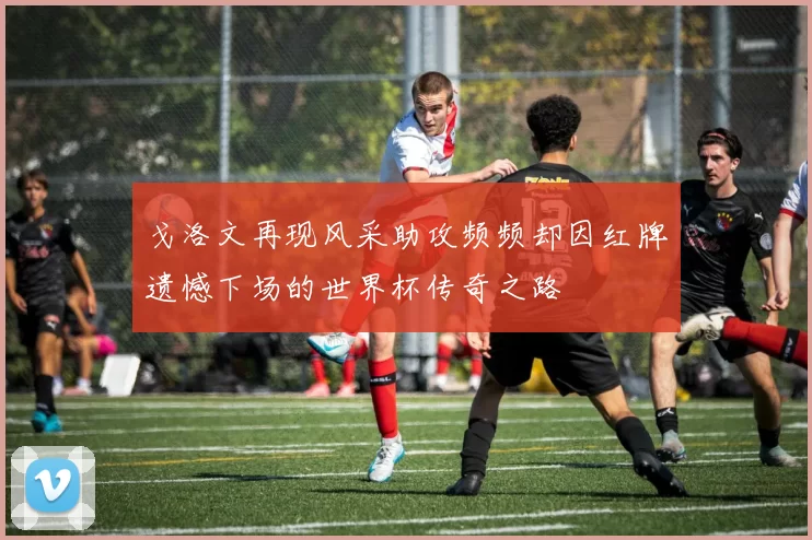 戈洛文再现风采助攻频频却因红牌遗憾下场的世界杯传奇之路