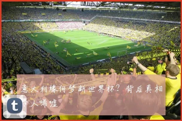 意大利缘何梦断世界杯？背后真相令人唏嘘