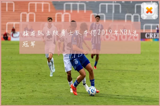 猛龙队击败勇士队夺得2019年NBA总冠军