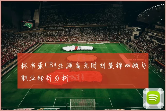 林书豪CBA生涯高光时刻集锦回顾与职业转折分析