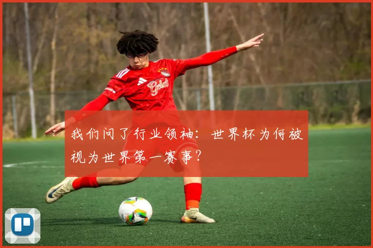 我们问了行业领袖：世界杯为何被视为世界第一赛事？