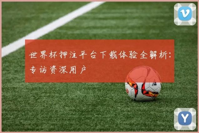 世界杯押注平台下载体验全解析：专访资深用户