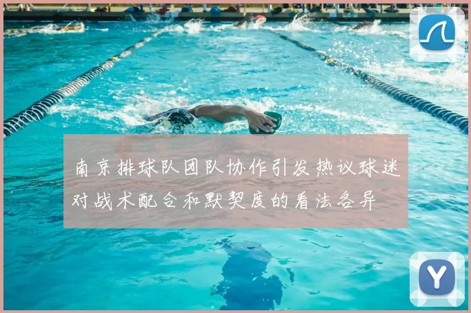 南京排球队团队协作引发热议球迷对战术配合和默契度的看法各异