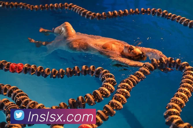 ag九游会服务体系